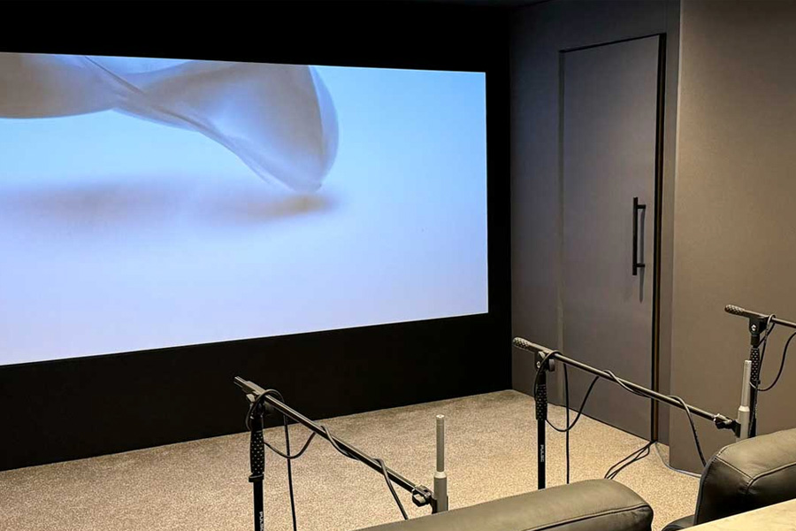 Dellicompagni demo room DLA-NZ800