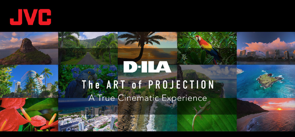 JVC DLA-NZ900 & DLA-NZ800 Software Update banner