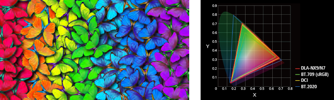 Reproduction of Vivid Images