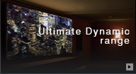 Ultimate Dynamic Range
