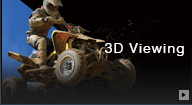 3D Viewing