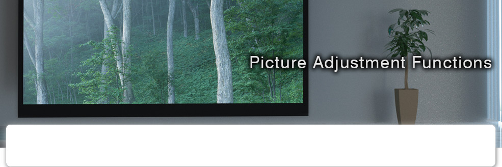Picture Adjustment Functions