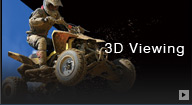3D Viewing