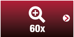 60x