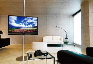 Designed with Distinct Styling and Form