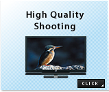High Quality Shooting