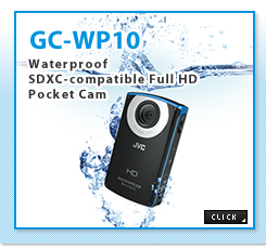 GC-WP10