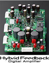 Hybrid Feedback Digital Amplifier
